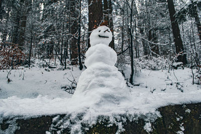 Little snowman in a forrest