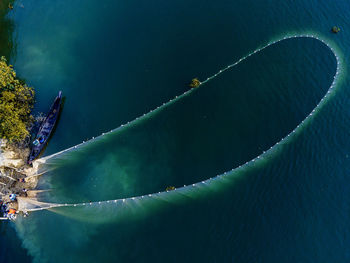 High angle view of butterfly
