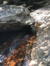 Scenic view of waterfall