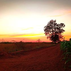 Scenic view of field against sky during sunset