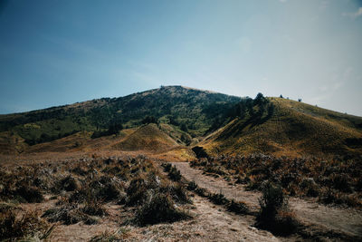 Scenic view of landscape against sky