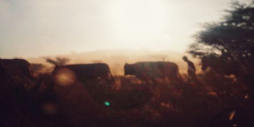 Defocused image of silhouette landscape against sky during sunset