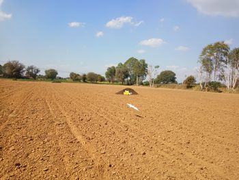 Scenic view of trees on field against sky