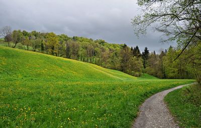 Scenic view of green landscape against sky