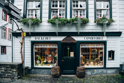 Potted plants on street against building