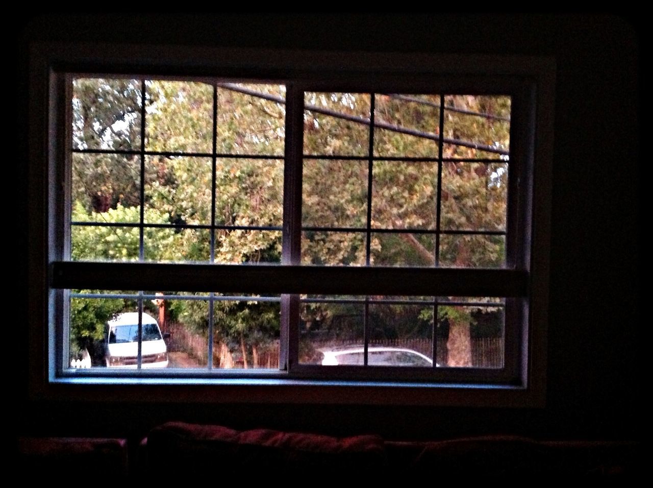 window, glass - material, transparent, indoors, tree, looking through window, house, window sill, glass, built structure, day, architecture, reflection, window frame, no people, growth, closed, building exterior, nature, home interior