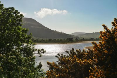 Scenic view of lake by trees against sky