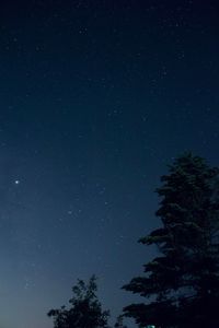 Low angle view of silhouette trees against sky at night