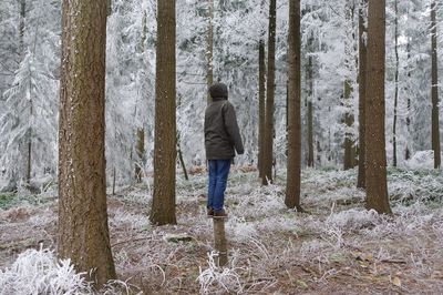 Rear view of young woman in forest