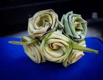 High angle view of white flowers on table