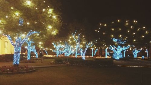 Illuminated christmas tree at night