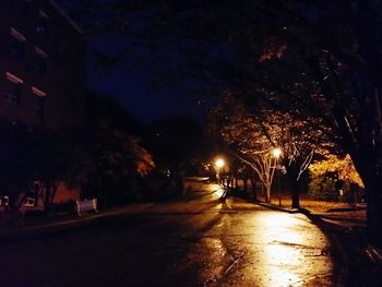 Road along trees at night