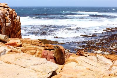 View of rocks on beach against sky