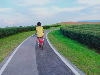 Rear view of girl riding bicycle on road