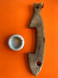Close-up of lizard on table against orange wall