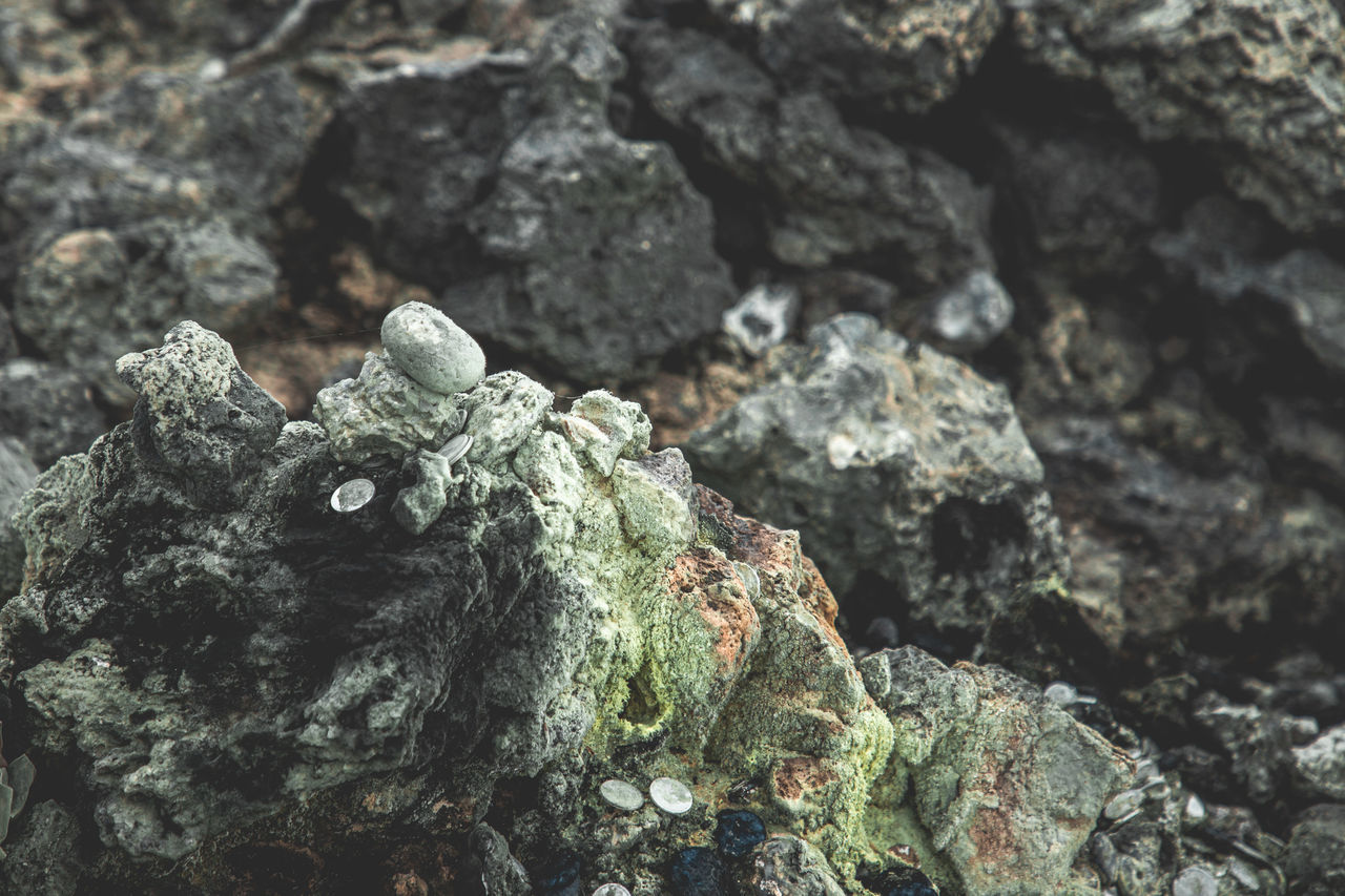 soil, rock, nature, no people, day, textured, close-up, outdoors, focus on foreground, green, land, macro photography, rough, plant, geology, wildlife, high angle view, leaf