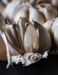 Close-up of garlic