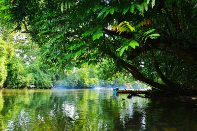 Scenic view of lake by trees