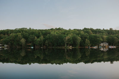 Scenic view of lake by trees against sky