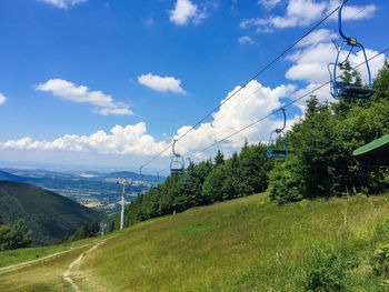 Trees on field against sky
