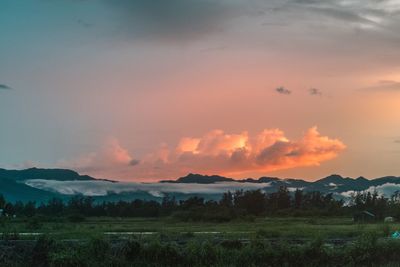 Scenic view of field against sky during sunset