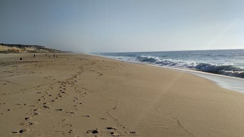 Scenic view of beach against clear sky