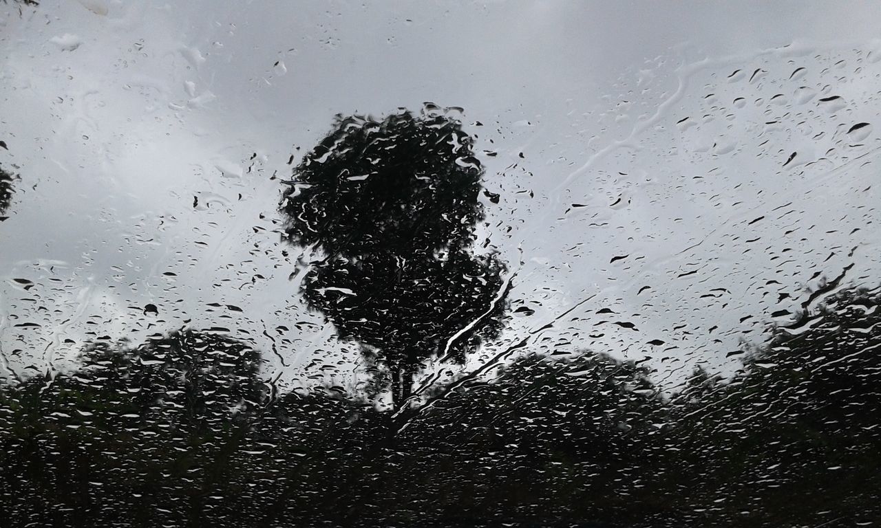 CLOSE-UP OF WATERDROPS ON GLASS AGAINST WINDOW