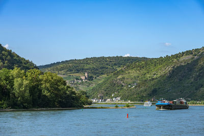 Gutenfels castle and vineyards in the rhine valley near kaub, germany