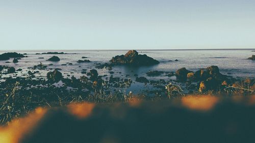 Scenic view of sea against clear sky