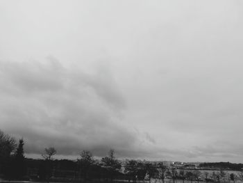 Trees on landscape against sky