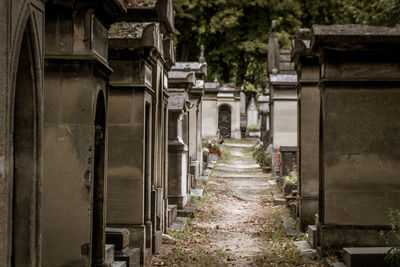 Empty alley of père lachaise cemetery in paris