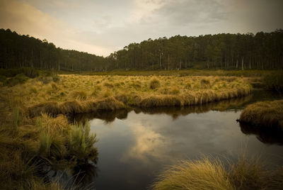 Scenic view of lake against sky