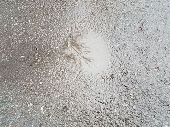 Full frame shot of wet road