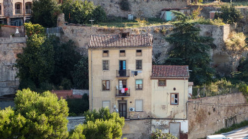 High angle view of trees and buildings