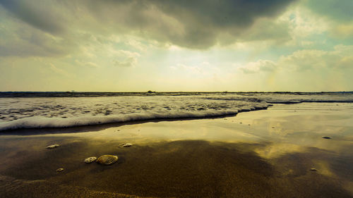 Scenic view of beach against sky