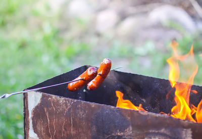 Close-up of crab on barbecue grill