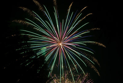 Low angle view of firework display at night