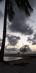 Silhouette palm trees on beach against sky during sunset