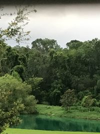 Scenic view of lake in forest against sky