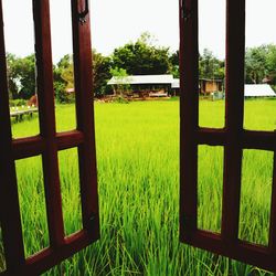 Built structure on field against trees