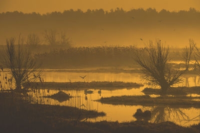Silhouette trees by lake against sky during sunset