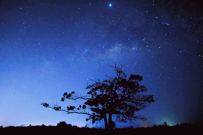 Low angle view of silhouette trees against sky at night