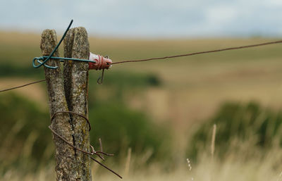 Barbed wire against sky