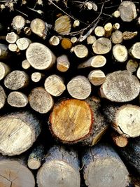 Full frame shot of logs in forest