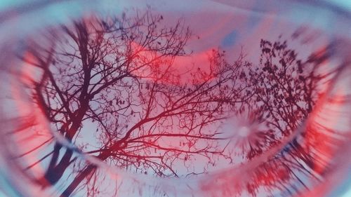 Double exposure of bare tree against cloudy sky