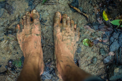 Close-up of hand feeding by water