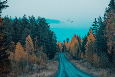 Road amidst trees against sky during autumn