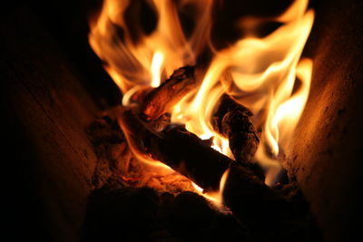 Close-up of fire in the dark