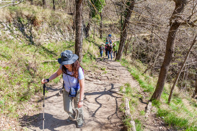 People walking on footpath in forest