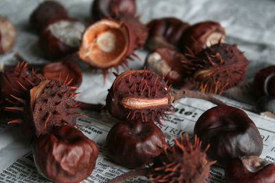 Close-up of chestnuts on paper